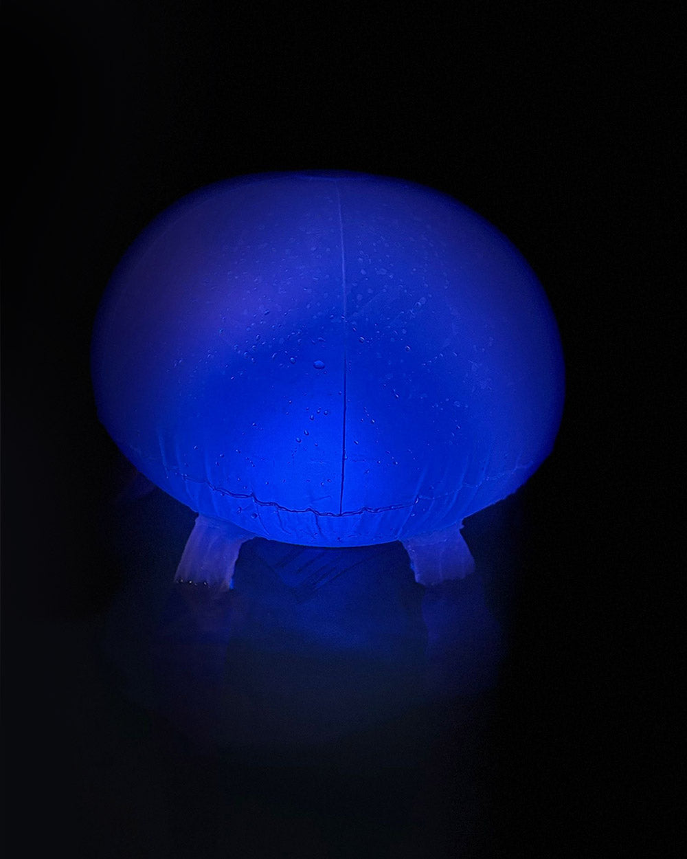 Medusa Brillante Led