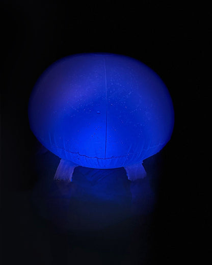 Medusa Brillante Led