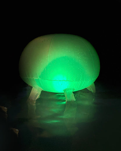 Medusa Brillante Led